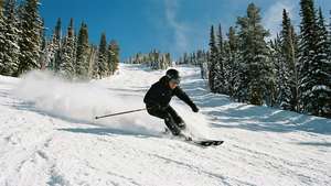 Steamboat Powder Skiing