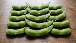 Steamed Edamame Grid