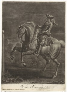 Steigerend paard