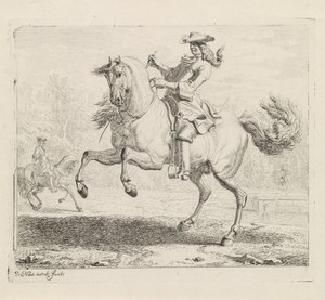 Steigerend paard met ruiter