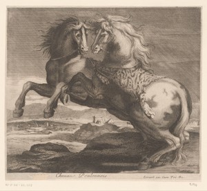 Steigerende paarden in een landschap
