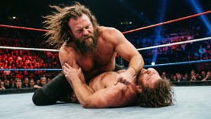 Steiner Screwdriver Move