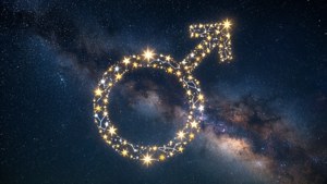 Stellar Formation