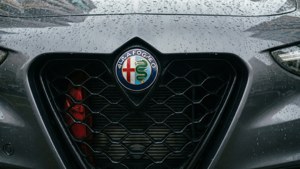 Stelvio Grille Detail