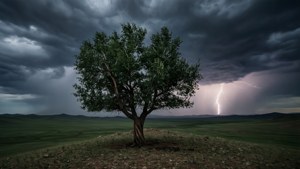 Steppe Storm