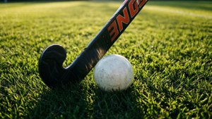 Stick and Ball Close-Up
