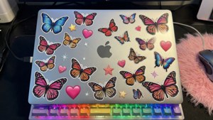 Stickered Laptop Setup