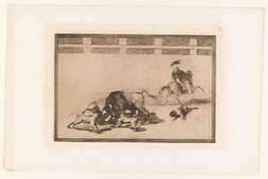 Stier aangevallen door honden