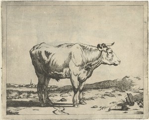 Stier, naar rechts, met kerktoren op achtergrond