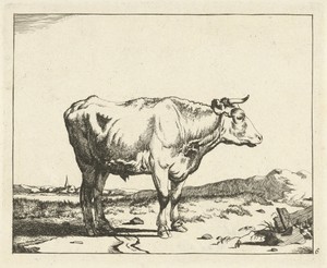 Stier, naar rechts, met kerktoren op achtergrond
