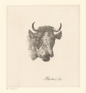 Stierenkop