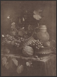 [Still Life]