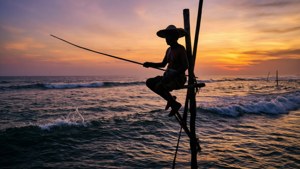 Stilt Fisherman Sunset