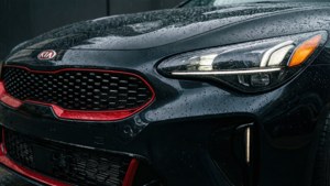 Stinger Detail