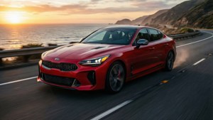 Stinger Sunset Thrill