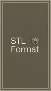 STL Format Poster