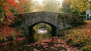 Stone Bridge Creek