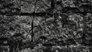 Stone Texture