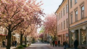Storgatan Spring Vibes