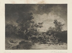 Storm