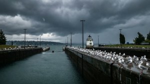 Storm at the Locks