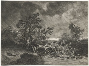 Storm
