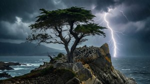 Storm Island Lightning