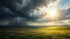 Storm to Sunshine