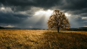 Stormy Autumn Field