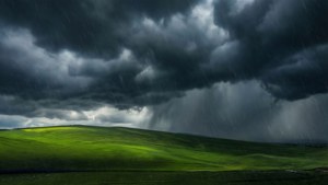 Stormy Bliss