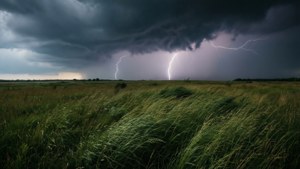 Stormy Meadow