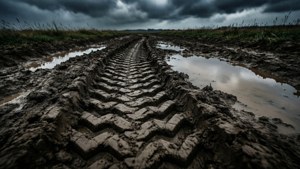 Stormy Mud Track