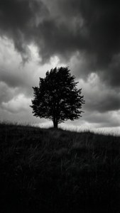 Stormy Silhouette