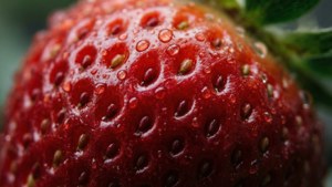 Strawberry Macro Droplets
