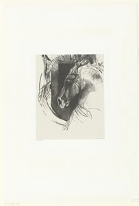 Strijdros