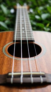 Strings and Leaves Ukulele