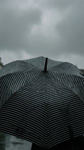 Striped Umbrella Rain