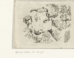 Studieblad met koeiekop