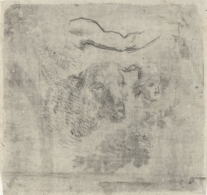 Studieblad met schaap