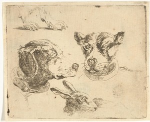 Studieblad met twee hondenkoppen, poten van hond en kop van haas