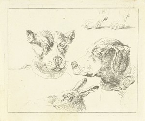 Studieblad met twee hondenkoppen, poten van hond en kop van haas