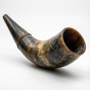 Studio Shofar Product Shot