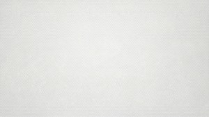 Subtle Hexagon White