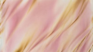 Subtle Pink Gold Burn