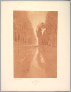 Suite de Paysages: Landscape, Plate 2, Remarque, Starflowers