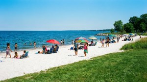Summer at Greenwich Point