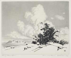 Summer Cloud, Apache Trail, Arizona