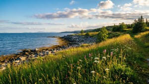 Summer Coastal Trail