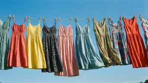 Summer Dress Line