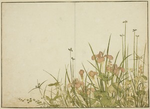 Summer Flowers: Irises and Water Plantains, from the book "Mirror of Beautiful Women of the Pleasure Quarters (Seiro bijin awase sugata kagami)," vol. 1